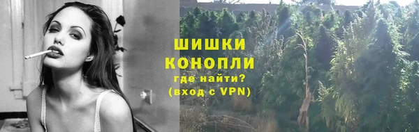 сатива Балабаново