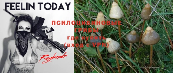 PSILOCYBIN Елизово